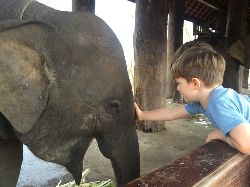 Shouldn’t every kid get to pet an elephant?!?