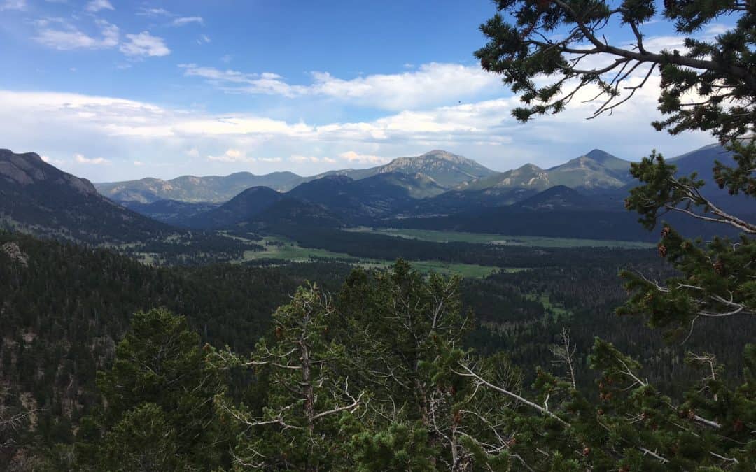 Northwest Road Trip Recap: Colorado, Wyoming, Montana, Washington, and Back!
